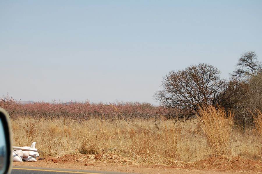 8.6 ha Land available in Bronkhorstspruit photo number 7