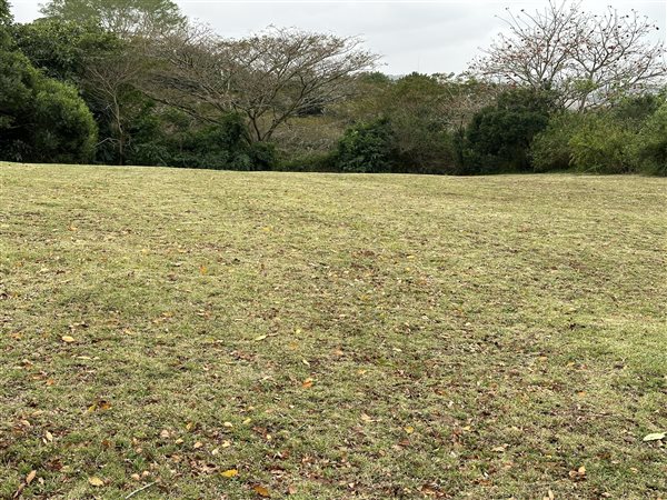 1 254 m² Land