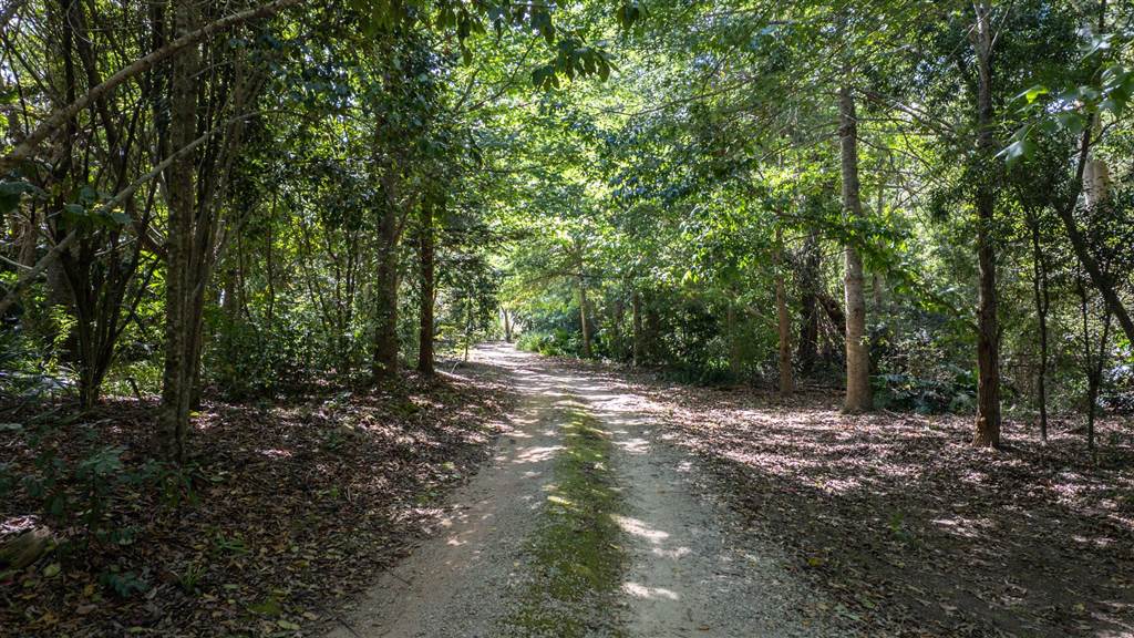 14.8 ha Smallholding