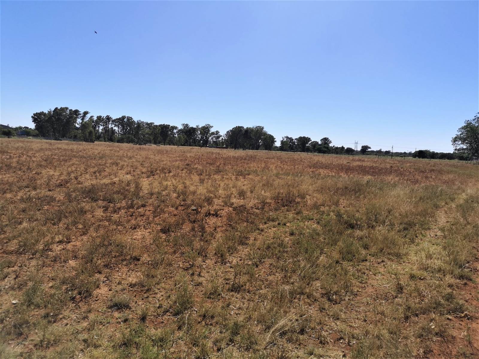 1.9 ha Land available in Lilyvale photo number 3