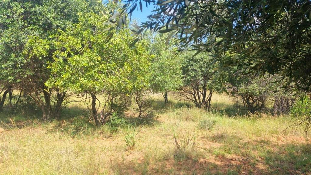 1500 m² Land available in Koro Creek Golf Estate photo number 6