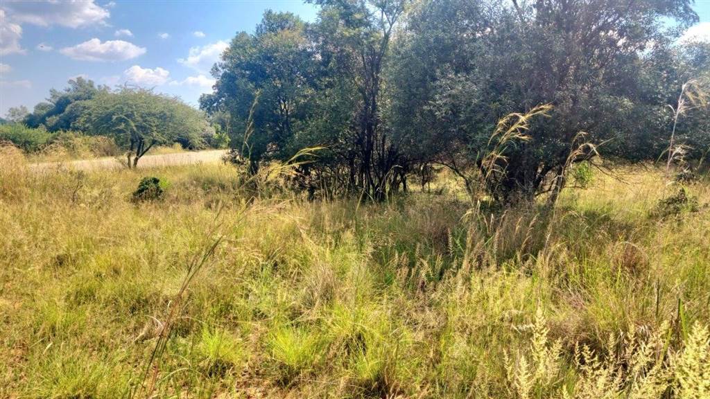 1500 m² Land available in Koro Creek Golf Estate photo number 9
