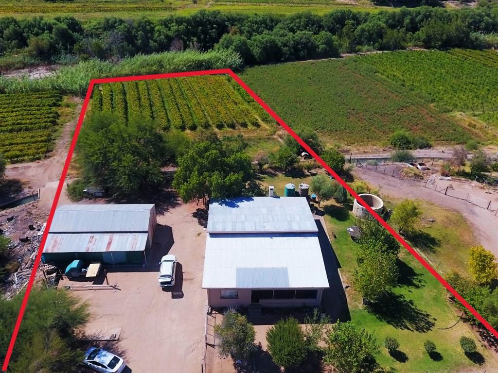 8086 m² Smallholding in Keimoes photo number 1