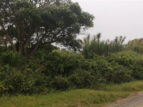 1258 m² Land available in Port Edward