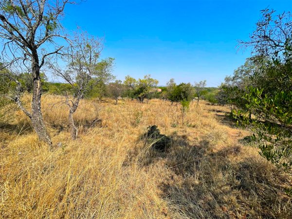 1197 m² Land available in Koro Creek Golf Estate