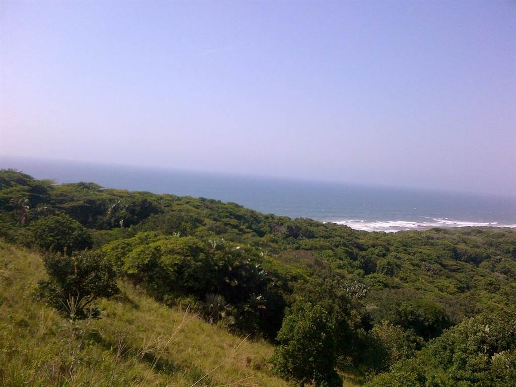 996 m² Land available in Woodgrange photo number 6