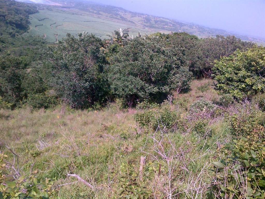 996 m² Land available in Woodgrange photo number 5