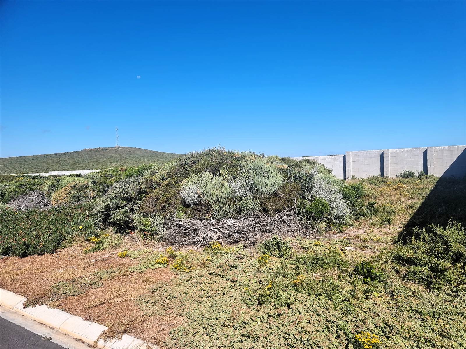 299 m² Land available in Yzerfontein photo number 2