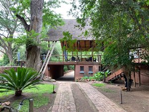 Game Farm in Dinokeng