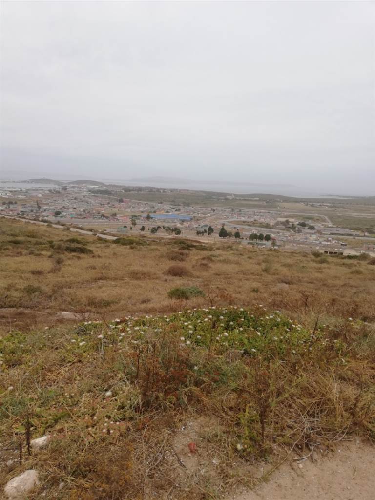 669 m² Land available in Saldanha photo number 6