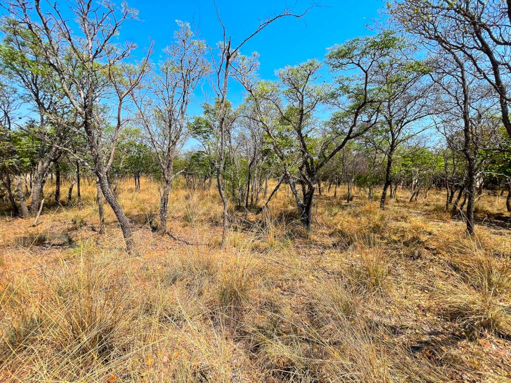 1092 m² Land available in Koro Creek Golf Estate photo number 2