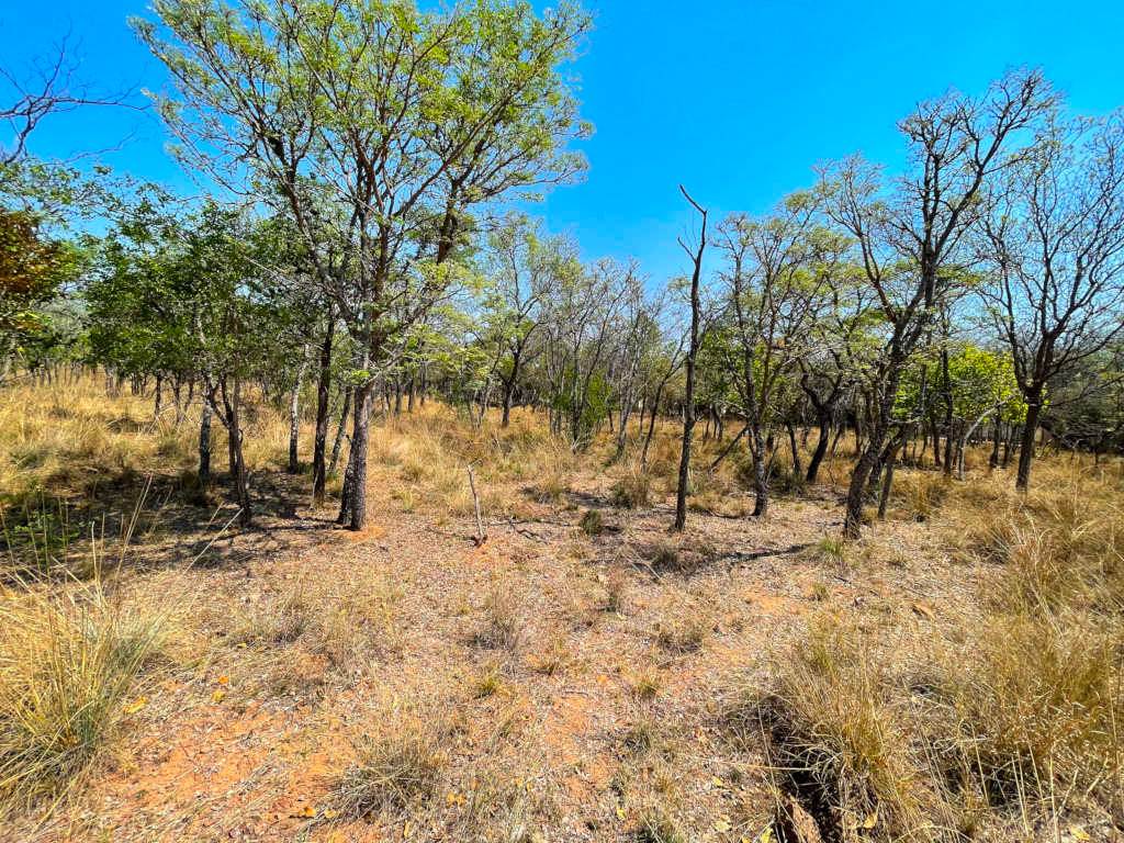 1092 m² Land available in Koro Creek Golf Estate photo number 1