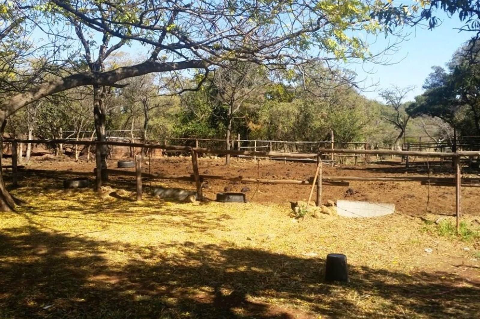 7 ha Farm in Cullinan and Surrounds photo number 22