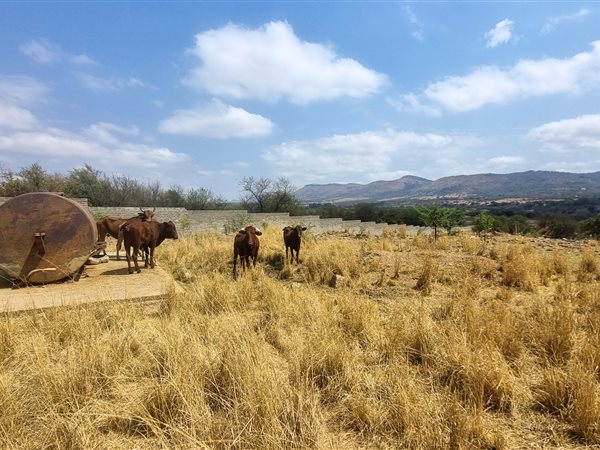 9 m² Smallholding