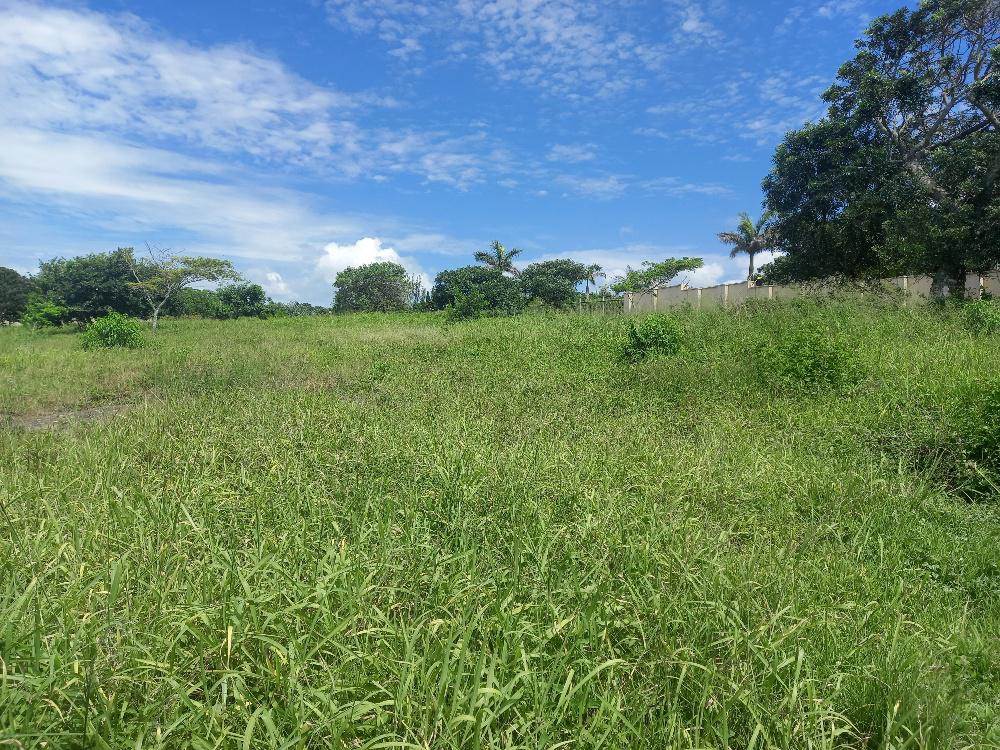 1164 m² Land available in Zinkwazi Beach photo number 10