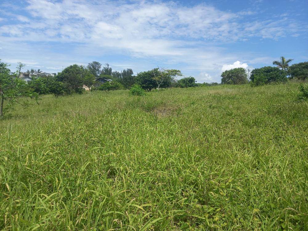 1164 m² Land available in Zinkwazi Beach photo number 3