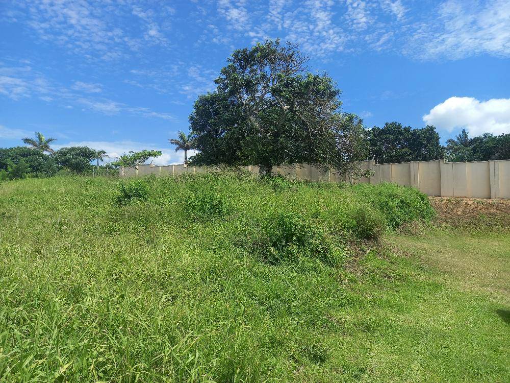 1164 m² Land available in Zinkwazi Beach photo number 11