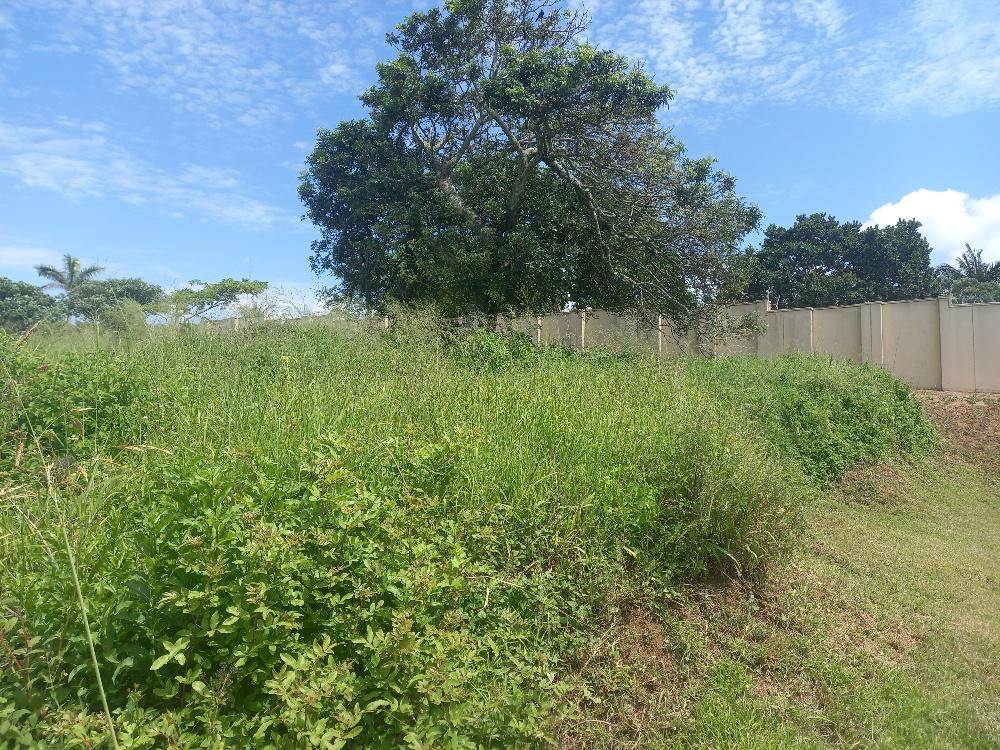 1164 m² Land available in Zinkwazi Beach photo number 2