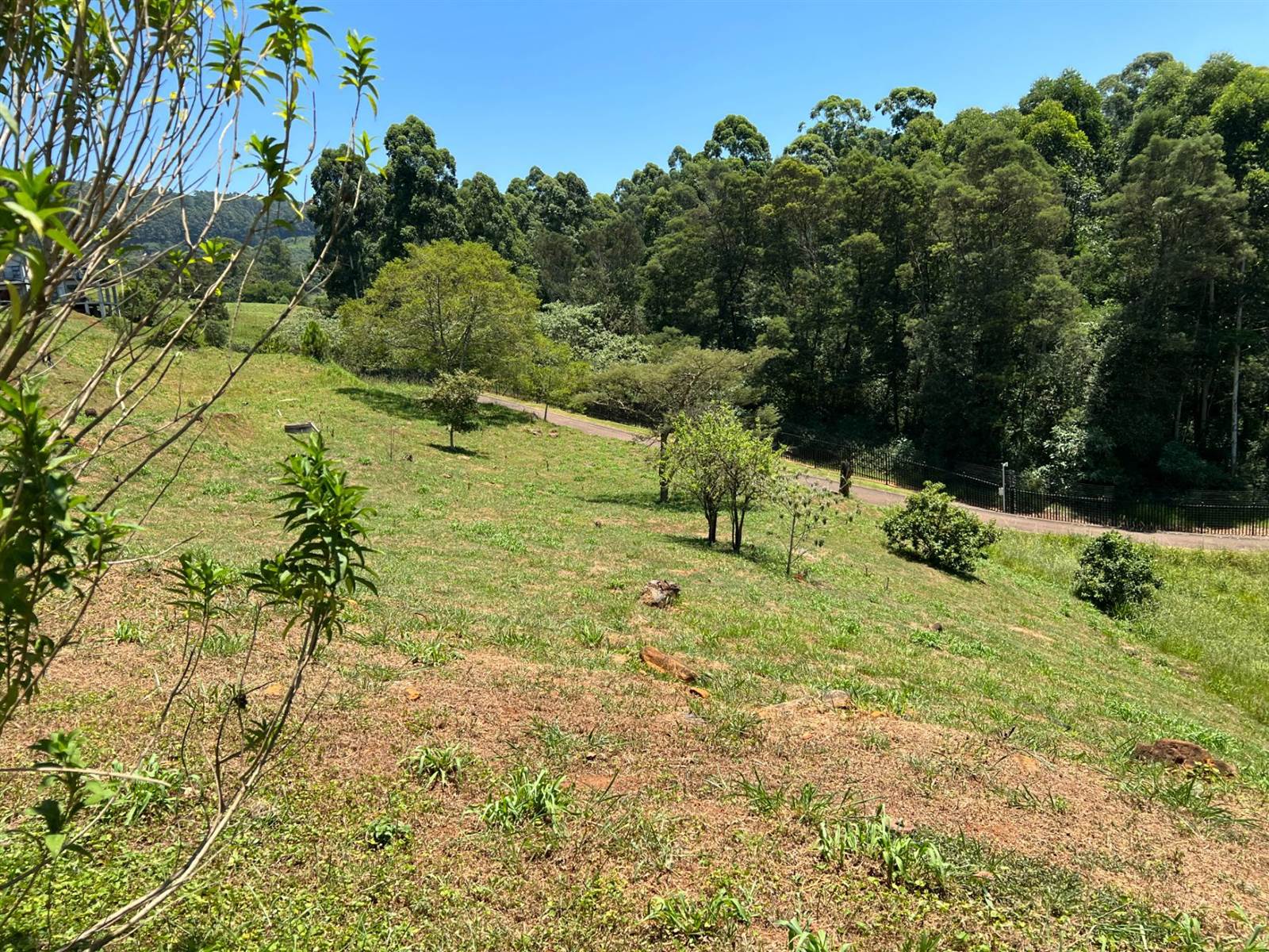 1743 m² Land available in Victoria Country Club Estate photo number 5