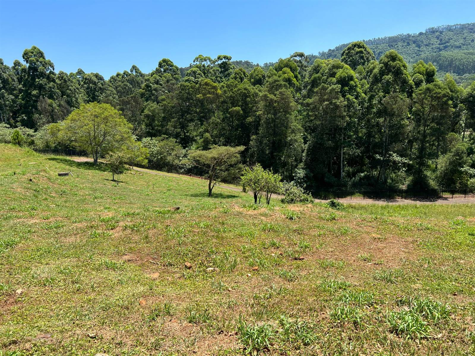 1743 m² Land available in Victoria Country Club Estate photo number 7