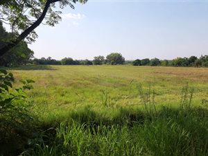 17 m² Farm in Honingnestkrans