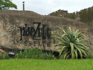 1500 m² Land available in Phezulu