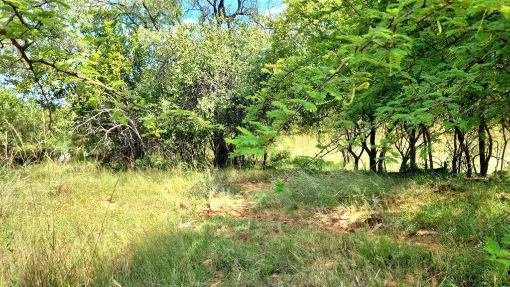 1197 m² Land available in Koro Creek Golf Estate photo number 8