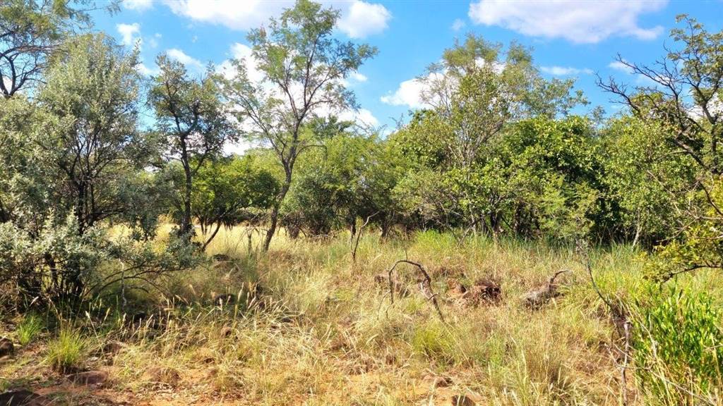 1197 m² Land available in Koro Creek Golf Estate photo number 11