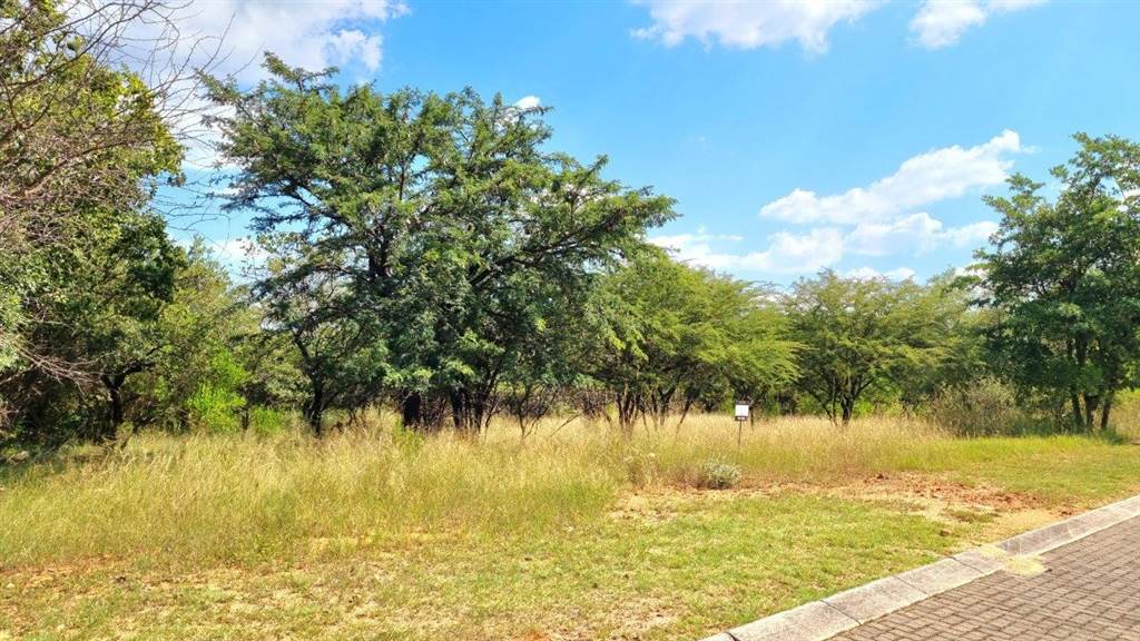 1197 m² Land available in Koro Creek Golf Estate photo number 6