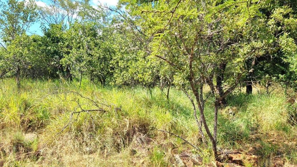 1197 m² Land available in Koro Creek Golf Estate photo number 9