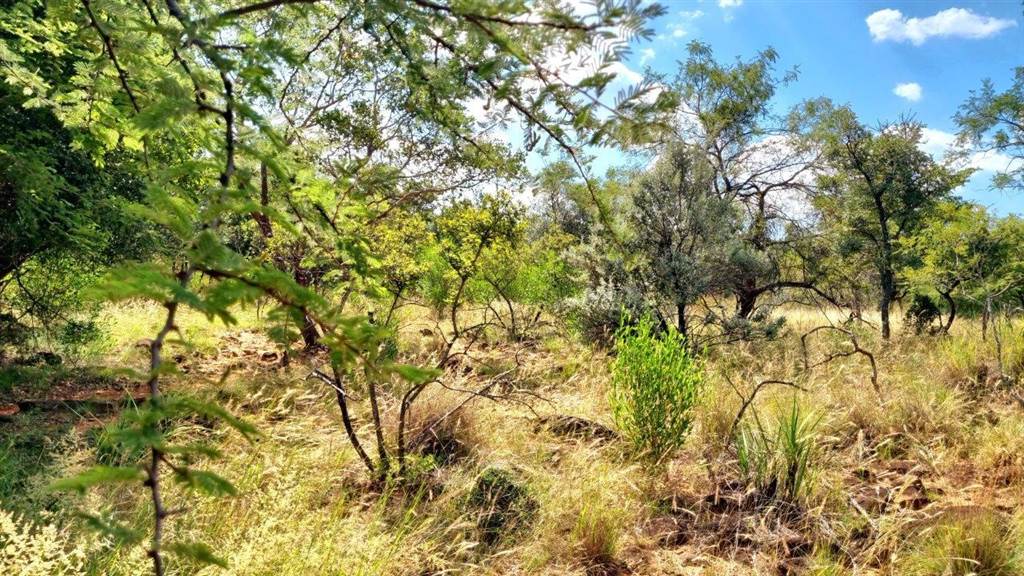 1197 m² Land available in Koro Creek Golf Estate photo number 10