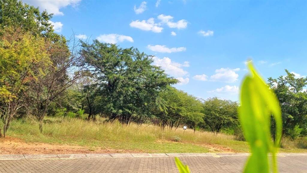 1197 m² Land available in Koro Creek Golf Estate photo number 15