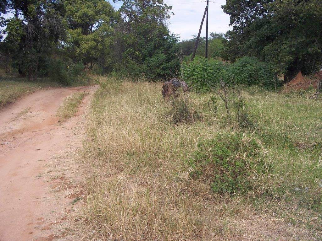 579 m² Land available in Hazyview photo number 1