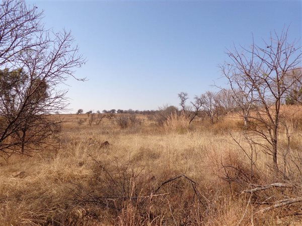5 ha Land available in Tierpoort