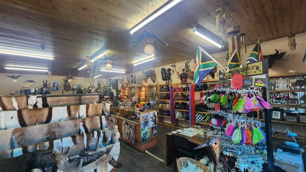 257  m² Commercial space in Oudtshoorn Central photo number 4