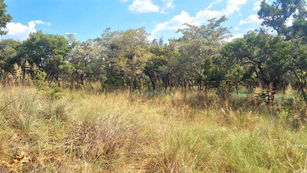 1012 m² Land available in Koro Creek Golf Estate photo number 8