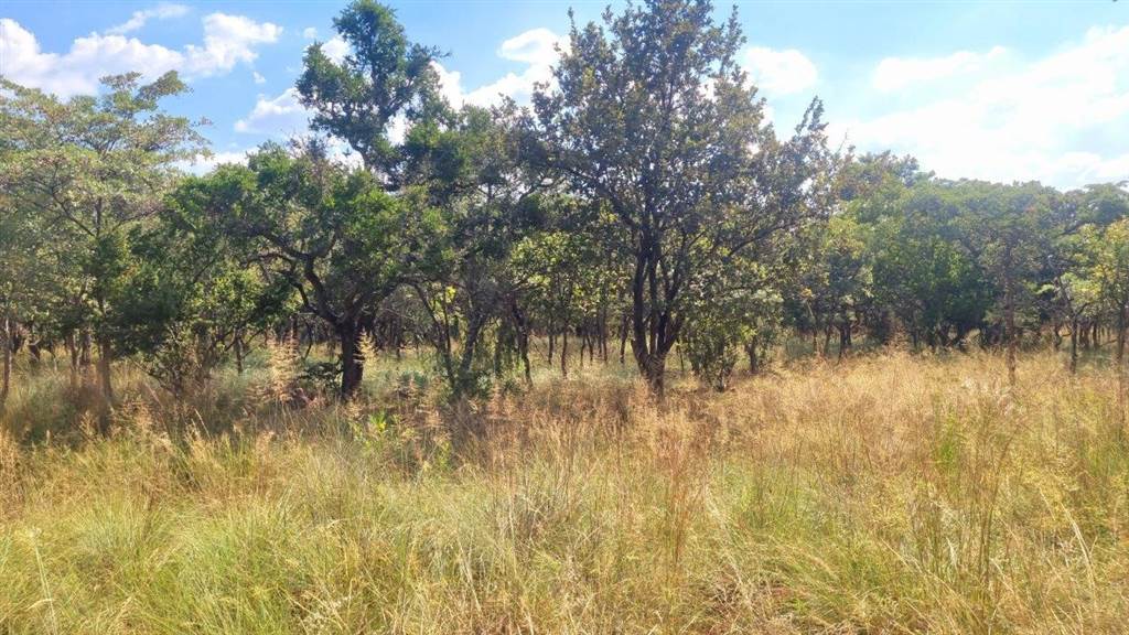 1012 m² Land available in Koro Creek Golf Estate photo number 9