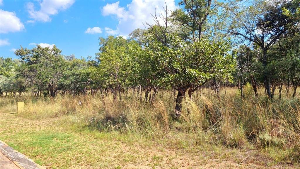 1012 m² Land available in Koro Creek Golf Estate photo number 5