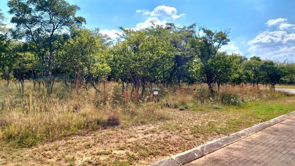 1012 m² Land available in Koro Creek Golf Estate photo number 4