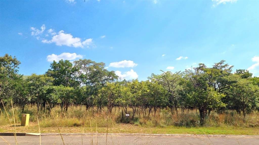 1012 m² Land available in Koro Creek Golf Estate photo number 1