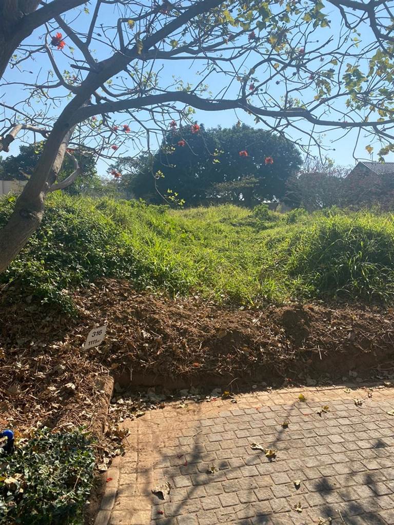 1150 m² Land available in Zinkwazi Beach photo number 4