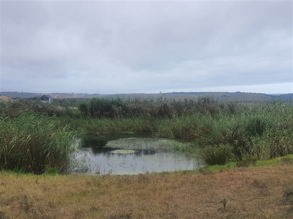 1645 m² Land available in Hartenbos