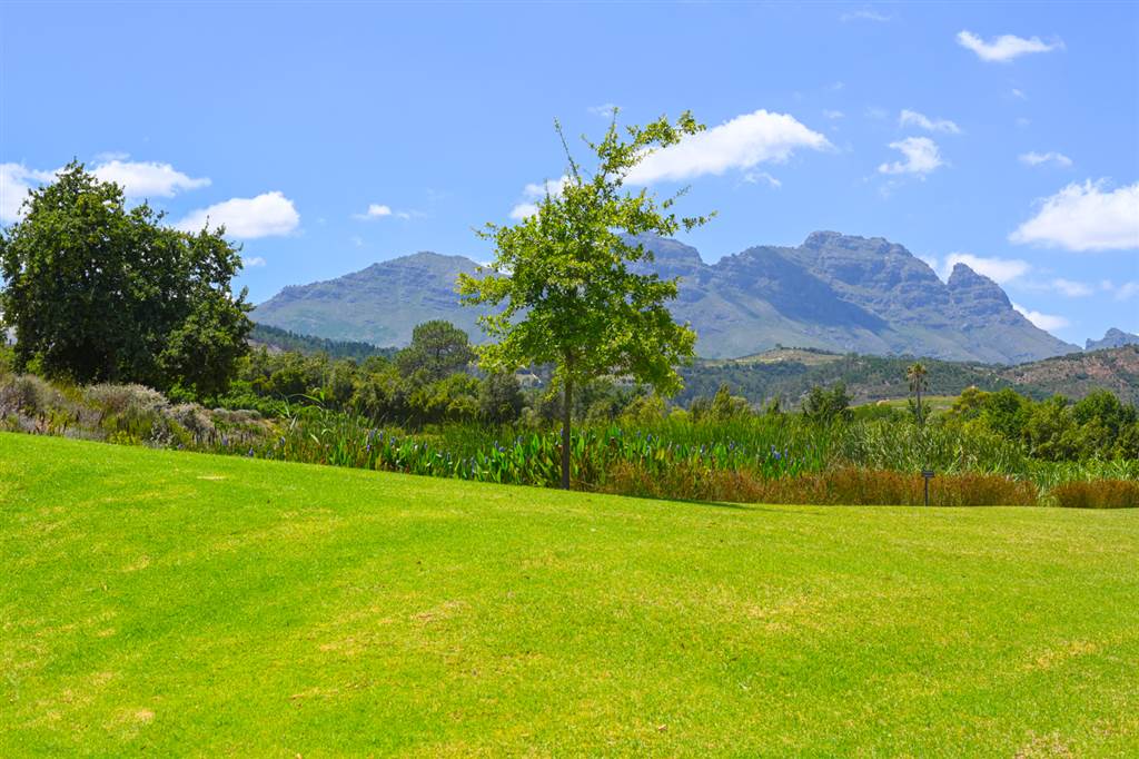 425 m² Land available in Elsenburg photo number 11