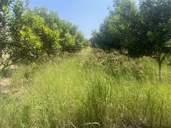 544 m² Land