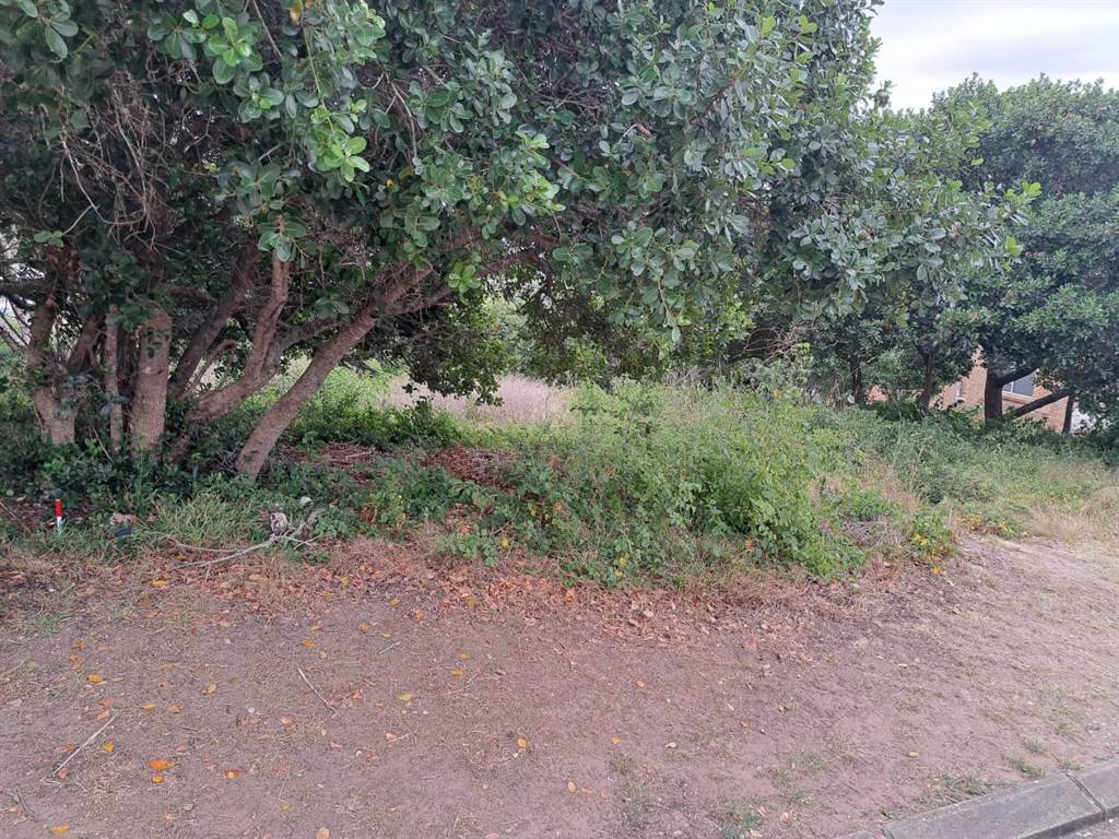 1074 m² Land available in Great Brak River photo number 6