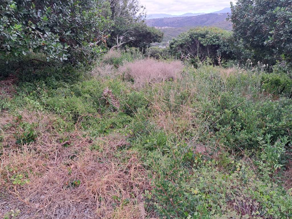1074 m² Land available in Great Brak River photo number 3