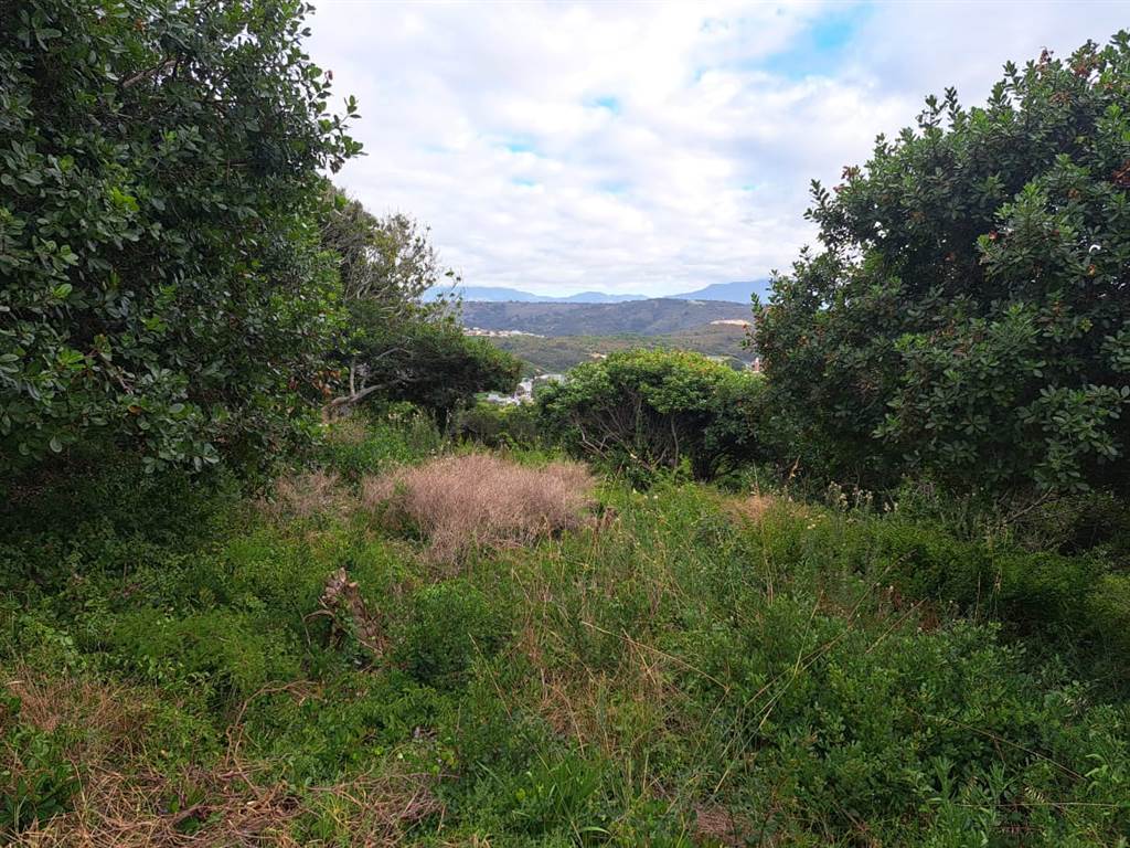 1074 m² Land available in Great Brak River photo number 4