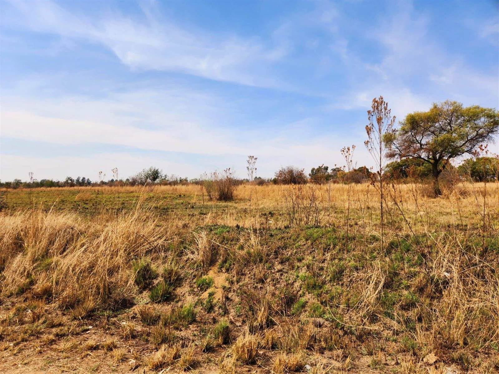 2.8 ha Land available in Rietvallei AH photo number 3