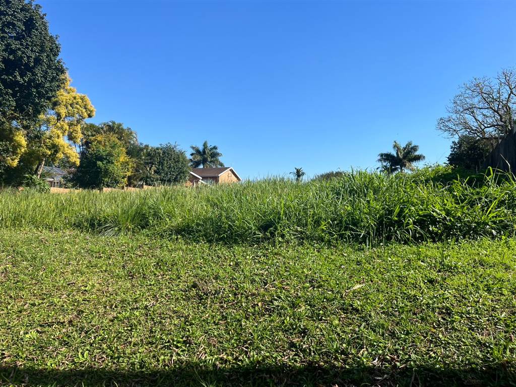 2039 m² Land available in Mtunzini photo number 8