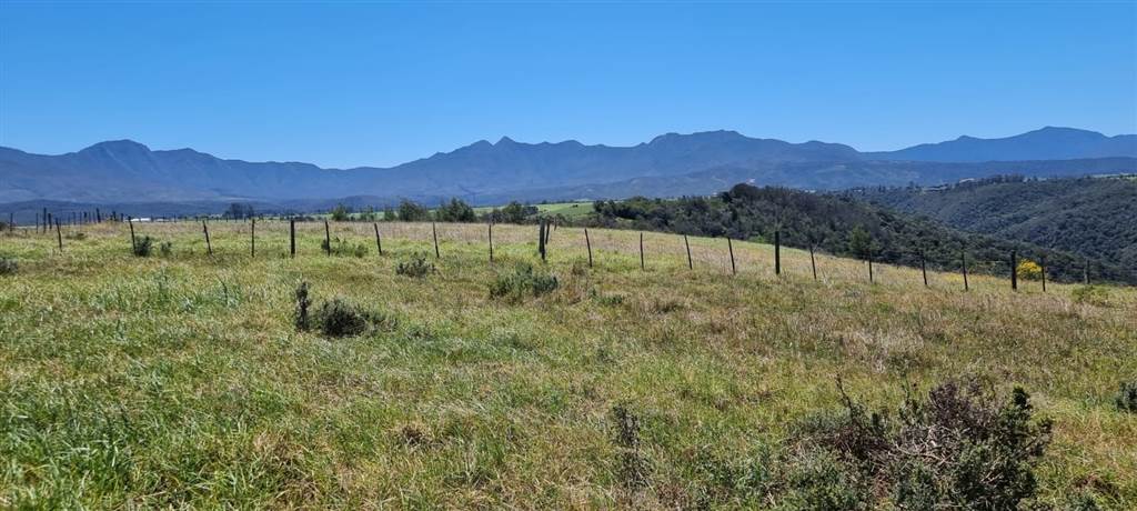 64 ha Land available in Sedgefield photo number 17